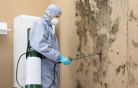 Mold Removal for HVAC Installations in Dacono, CO